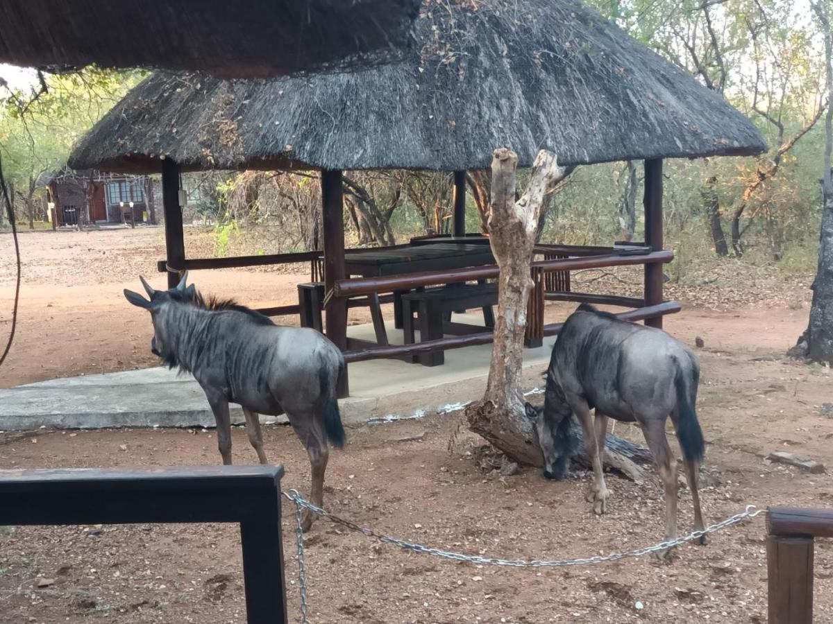 South Safari Lodge Marloth Park Exteriör bild