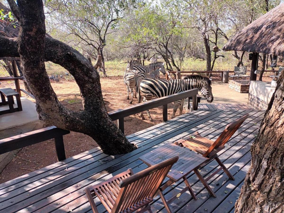 South Safari Lodge Marloth Park Exteriör bild